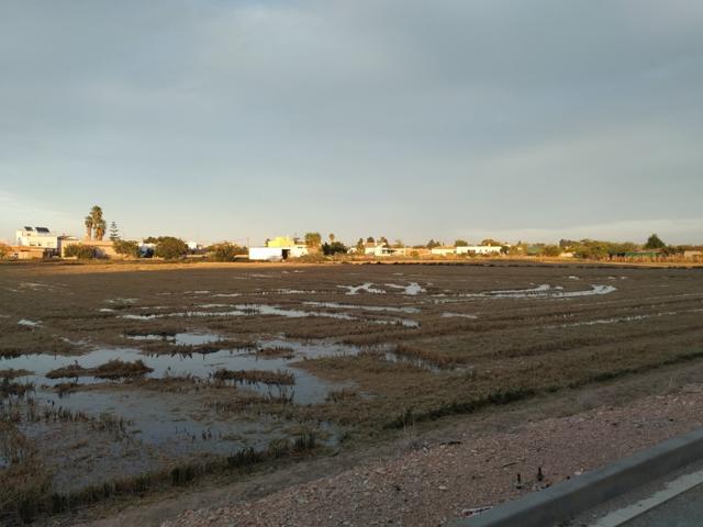 Finca de arroz de 13.140 m2, ( 6 jornales) en plena producción photo 0