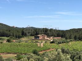 Finca rústica con dos casas a cinco minutos de Sitges. photo 0