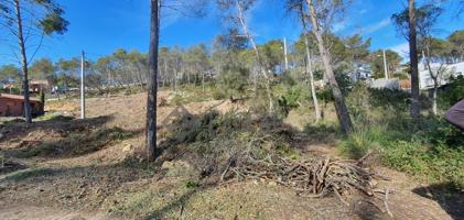 Terreno llano en Olivella, a punto para construir! photo 0