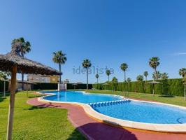 Bungalow soleado con solárium privado y terraza en Torrevieja photo 0