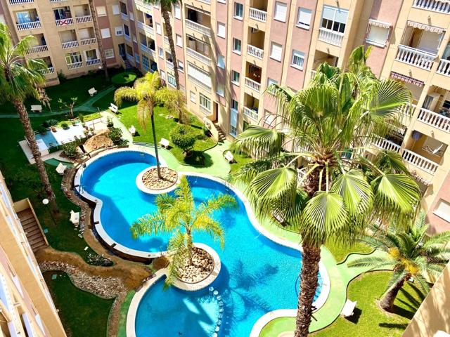 Ático con amplia terraza acristalada y gran piscina comunitaria en Torrevieja photo 0
