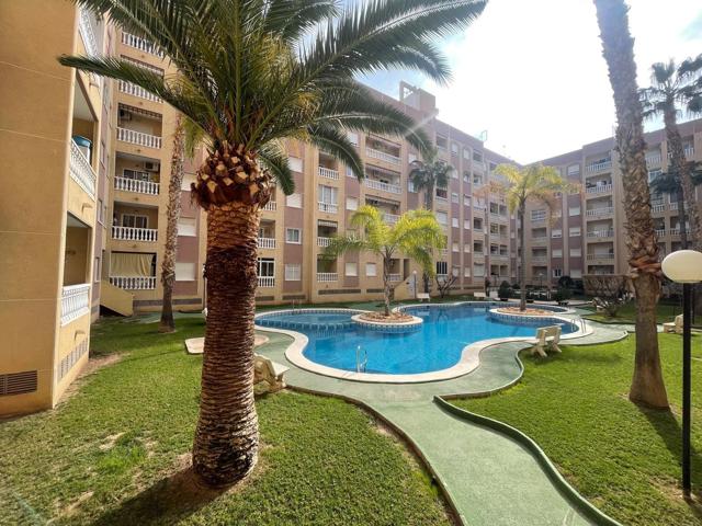 Apartamento en pleno centro de Torrevieja con precios piscina comunitaria photo 0