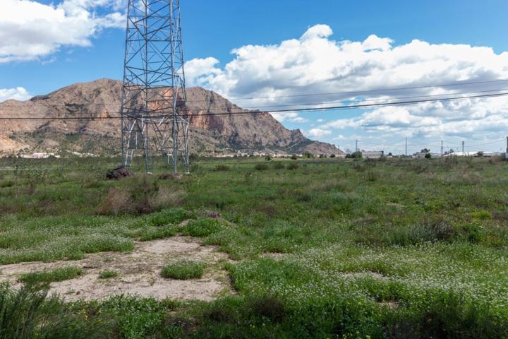 TERRENO DE 13.950 M2 EN ORIHUELA - ZONA POLÍGONO PUENTE ALTO photo 0