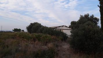 PARCELA RÚSTICA CON EDIFICACIÓN EN ALHAMA DE MURCIA. photo 0