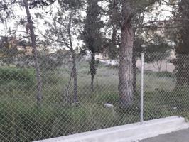 SE VENDE PARCELA URBANA EN EL CHORRICO photo 0