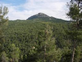 FINCA RUSTICA DE 80 HECTAREAS CON CASAS Y ALMENDROS EN PRODUCCION photo 0