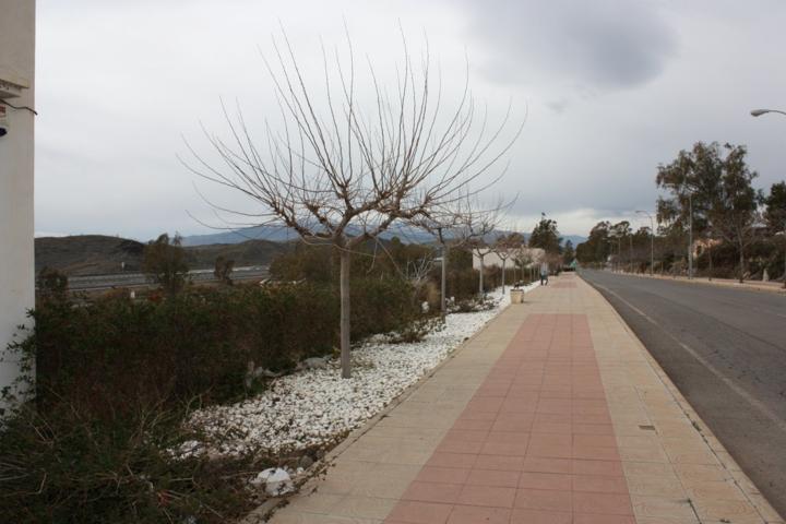 Terreno Urbanizable En venta en Gergal, Gergal photo 0