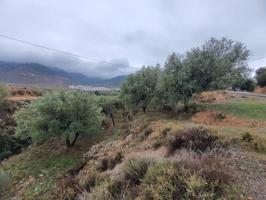 FINCA RUSTICA EN BENECID DE OLIVOS photo 0
