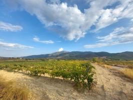 Casa De Campo En venta en Laujar De Andarax, Laujar De Andarax photo 0