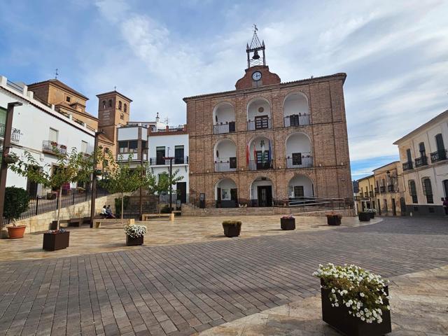 CASA CON NEGOCIO EN LA PLAZA DE LAUJAR photo 0