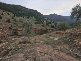 FINCA EN FONDON photo 0