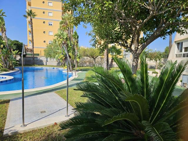 FABULOSA Y COQUETA VIVIENDA TOTALMENTE REFORMADA CON PISCINA COMUNITARIA Y PLAZA DE PARKING photo 0
