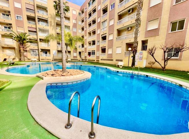 CHOLLAZO DE APARTAMENTO CON PISCINA COMUNITARIA, IDEAL PARA VIVIR TODO EL AÑO photo 0