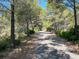 Terreno agrario en Mont-roig del camp, con barraca y pozo photo 0