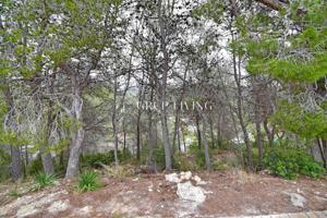 TERRENO EN CAN PERE LA PLANA photo 0