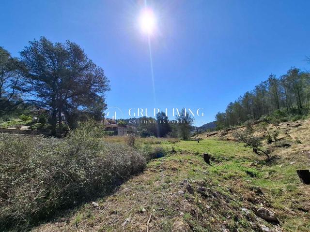 TERRENO URBANO PLANO EN MAS MESTRES photo 0