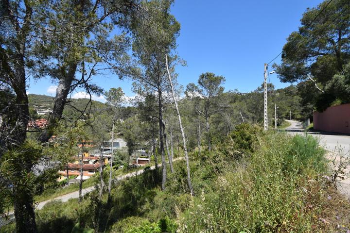 EXCELENTE TERRENO EN MAS MESTRE, OLIVELLA photo 0
