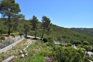 TERRENO EN CAN SURIÀ, OLIVELLA photo 0