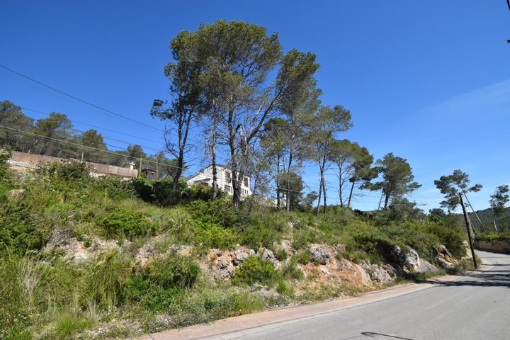 TERRENO EN MAS MESTRE, OLIVELLA photo 0