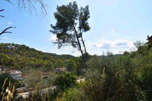 TERRENO EN MAS MESTRE, OLIVELLA photo 0