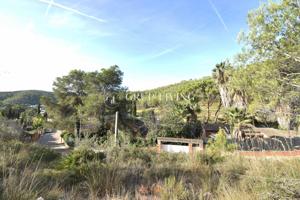 TERRENO CON BUENA ORIENTACIÓN Y VISTAS EN MAS MESTRE photo 0