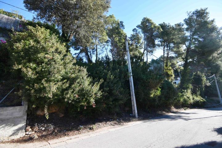 TERRENO A DOS CALLES CON VISTAS Y BUENA ORIENTACIÓN EN MAS MESTRE photo 0