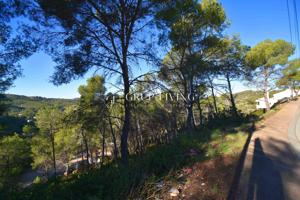 TERRENO CON VISTAS EN CALLE PRINEUS, MAS MESTRE photo 0