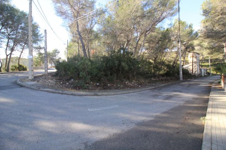 Terreno esquinero con poca pendeinte a 10 min de Sitges photo 0