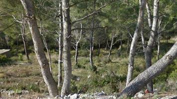 Terreno Urbanizable En venta en Les Palmeres, Canyelles photo 0