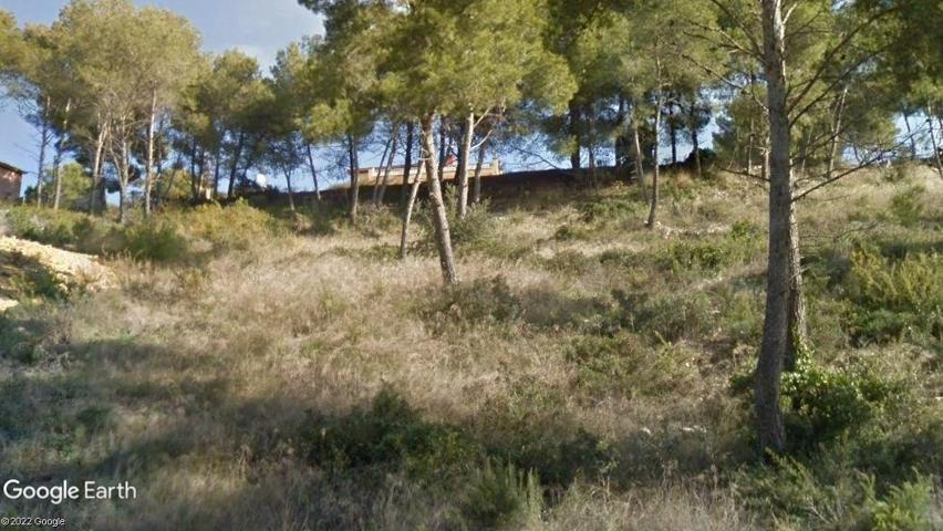 Terreno Urbanizable En venta en Les Palmeres, Canyelles photo 0
