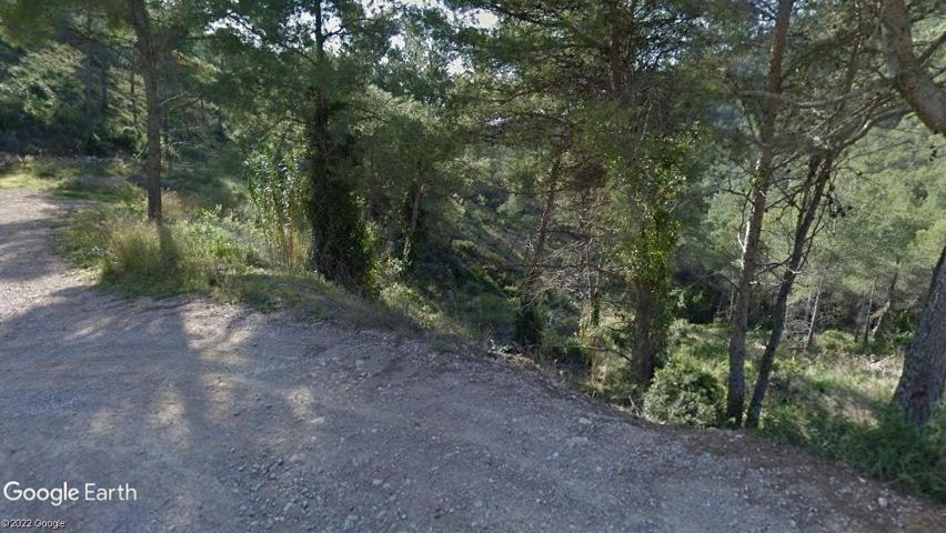 Terreno Urbanizable En venta en Les Palmeres, Canyelles photo 0