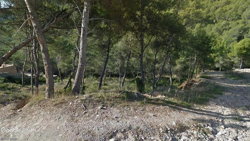 Terreno Urbanizable En venta en Les Palmeres, Canyelles photo 0
