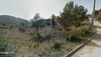 Terreno Urbanizable En venta en Les Palmeres, Canyelles photo 0