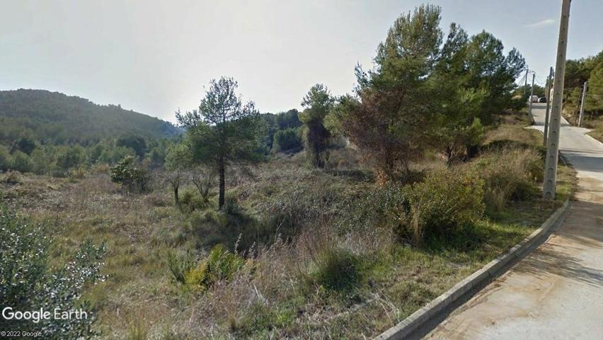 Terreno Urbanizable En venta en Les Palmeres, Canyelles photo 0