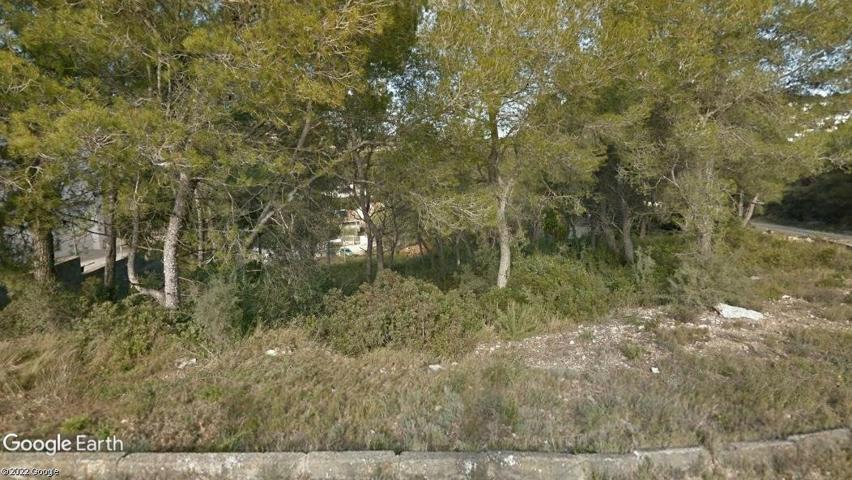 Terreno Urbanizable En venta en Les Palmeres, Canyelles photo 0