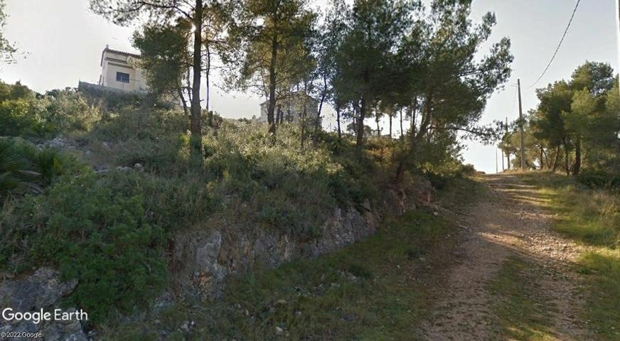 Terreno Urbanizable En venta en Les Palmeres, Canyelles photo 0