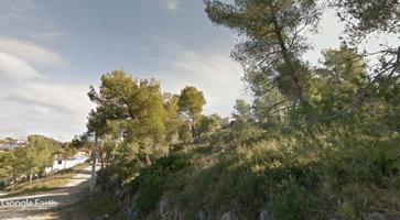 Terreno Urbanizable En venta en Les Palmeres, Canyelles photo 0