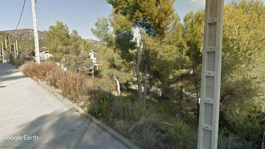 Terreno Urbanizable En venta en Les Palmeres, Canyelles photo 0