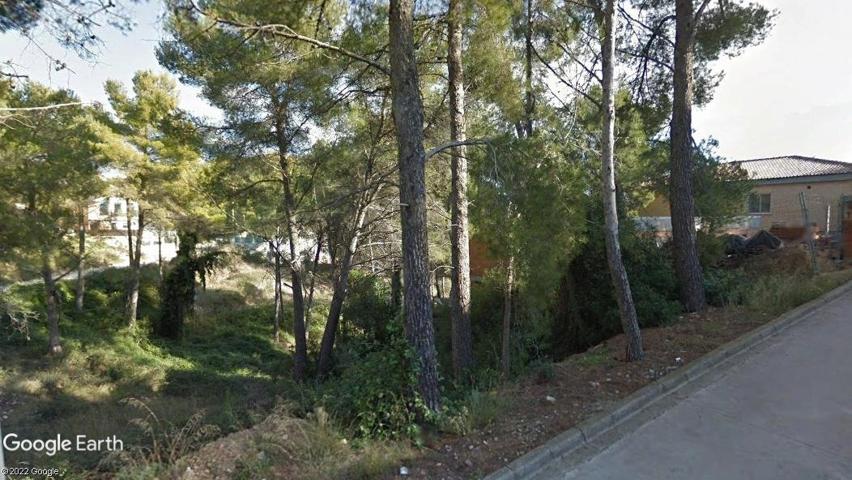 Terreno Urbanizable En venta en Les Palmeres, Canyelles photo 0