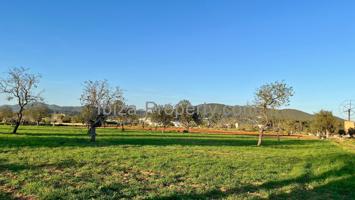 VENTA - Terreno rustico cerca de Santa Eulalia del Rio photo 0