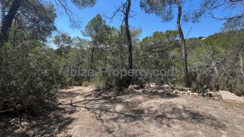 VENTA - Terreno rustico cerca de Roca Llisa, Santa Eulalia del Río photo 0