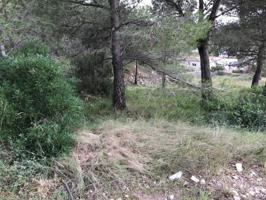 PARCELA EN VENTA EN CANYELLES photo 0