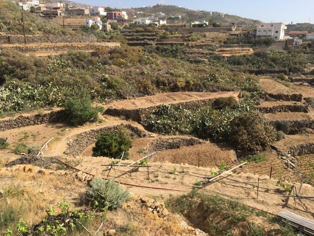 Terreno en el Esobonal photo 0