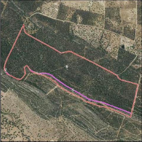 FINCA RUSTICA EN PARAJE CUARTO DEL BAÑO. CACERES photo 0