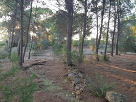 ¡Gran Oportunidad en Naquera! Terreno de 4.079 m² photo 0