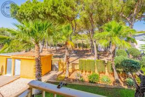 ¡OPORTUNIDAD ÚNICA! 7.000 m² ENTRE PALMA DE GANDIA Y RÓTOVA photo 0