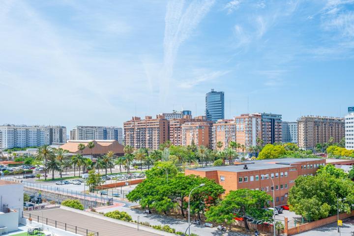 Junto a la Ciudad de las Ciencias photo 0