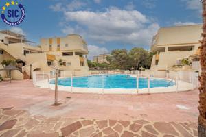 ¡Descubre tu oasis en El Saler, Valencia! photo 0