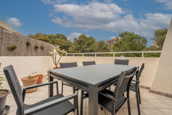 ¡Descubre tu oasis en El Saler, Valencia! photo 0