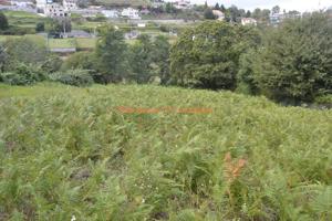 REF 2772 SOLAR 1330m2 ZONA HERVILLE (MOS) photo 0